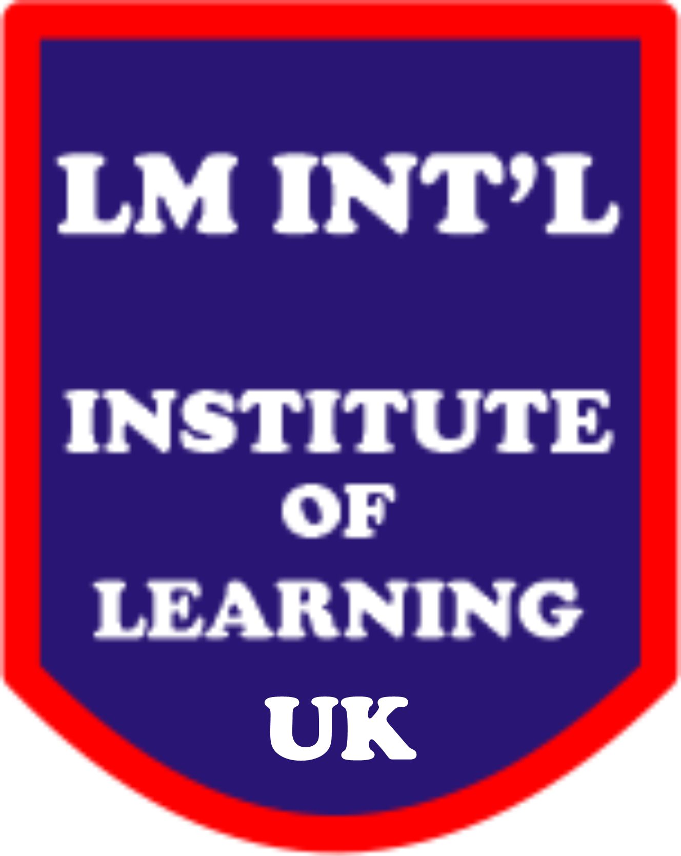 LM Institute
